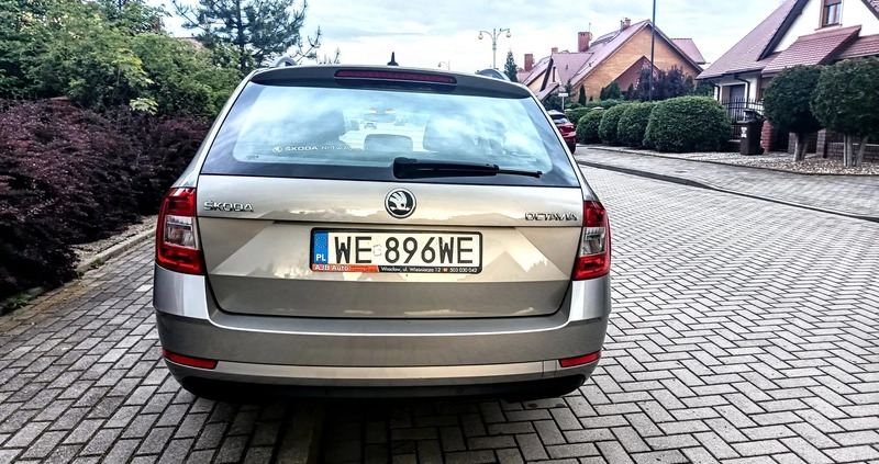 Skoda Octavia cena 46900 przebieg: 280000, rok produkcji 2019 z Legnica małe 211